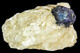 Lazurite and Pyrite Crystals in Calcite Matrix - Afghanistan #111798-1